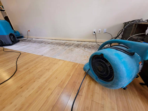 Professional Water Damage Repair technician working in Metamora, OH